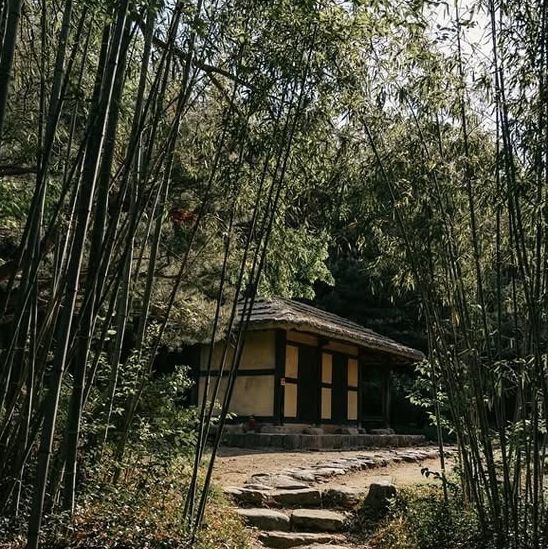 Hadong: A Slow Traveler’s Paradise – Tea Fields, Timeless Houses & Mountain Spirits"** 🍵🏯 