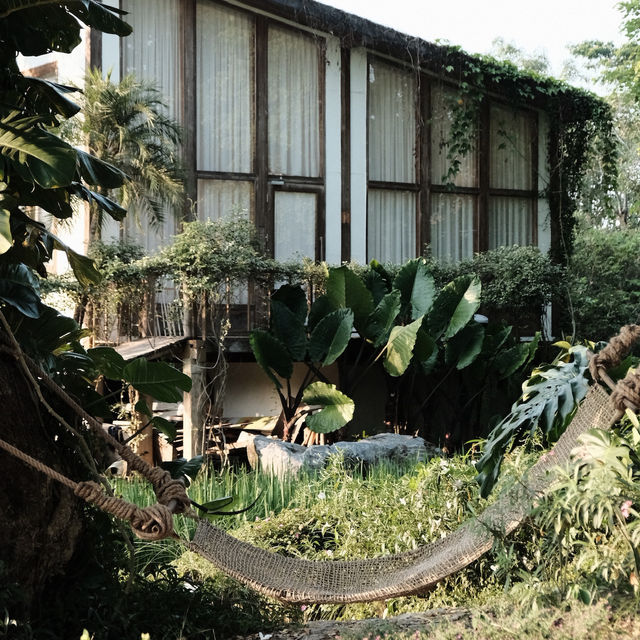 🌾 สโลว์ไลฟ์กลางทุ่งนา – บ้านนาก๋างโต้ง