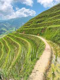 “The Dragon’s Green Staircase”