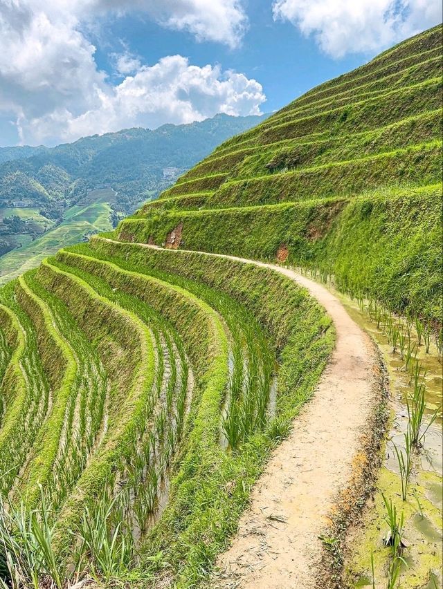 “The Dragon’s Green Staircase”