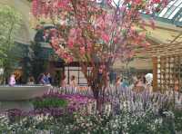 🌸 계절마다 테마가 바뀌는 실내 정원 – Bellagio Conservatory & Botanical Ga