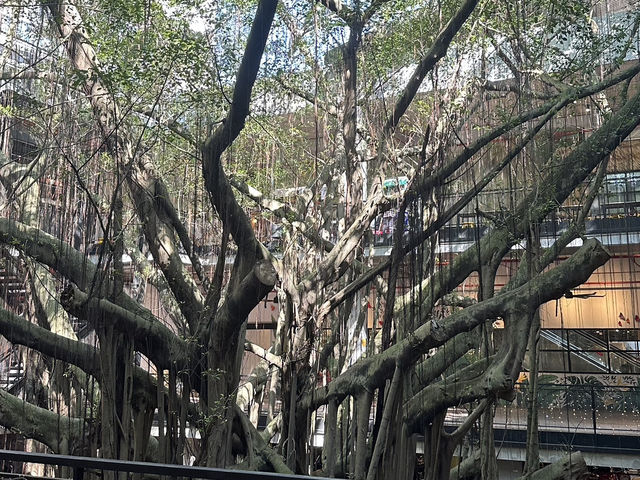 The LINC KL – A Hidden Gem in the Heart of the City ✨🌿