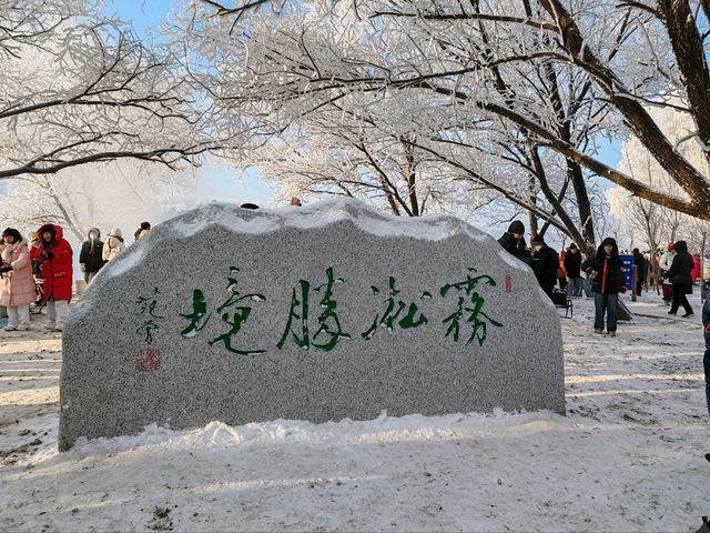 Rime Ice Wonderland