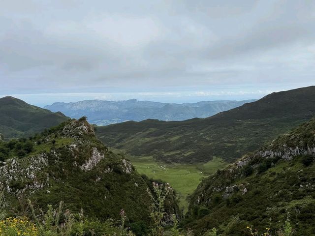 Clouds, Cows & Crazy Views at Lagos de Covadonga
