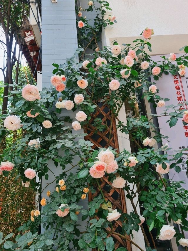 'Shu Yuan Men' Street, Xi'an