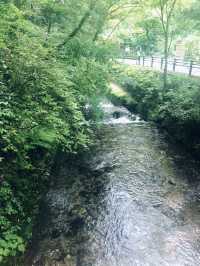 【京都　貴船】北にある癒しスポット