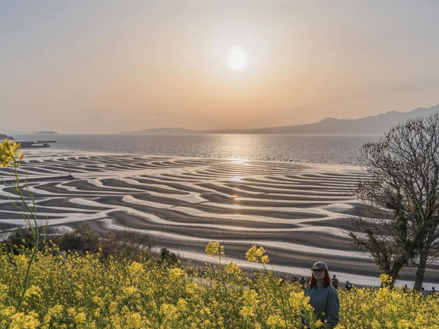 【御輿来海岸】干潟に映る空が絶景すぎる…熊本の隠れた感動スポット🌅