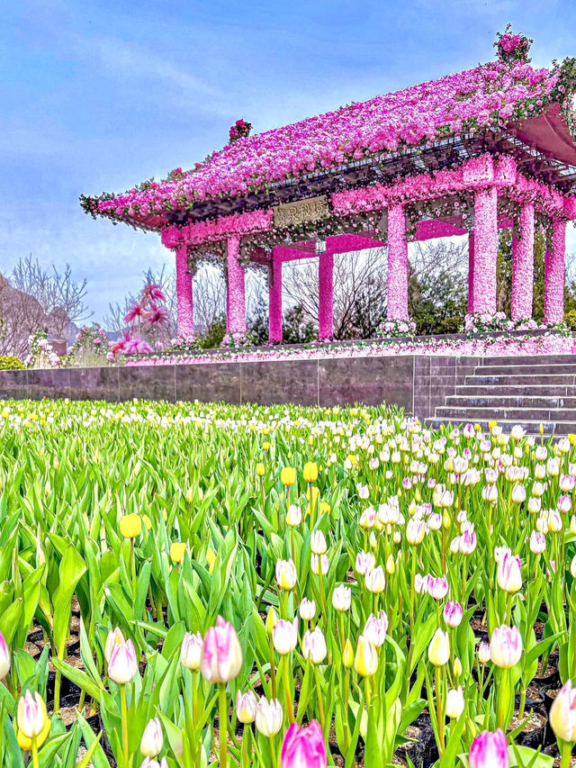 Baoquan Scenic Area in Henan