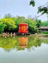 Hangzhou’s Liquid Emerald – Where Canals, Poetry & Biodiversity Coexist