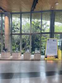ชมธรรมชาติ ที่FLORA EXHIBITION HALLL 