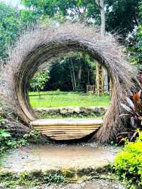 La Mesa Ecopark: A Green Retreat in Metro Manila