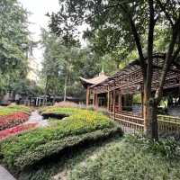 🎋 Chengdu People’s Park 成都人民公园 | A Window into Local Life
