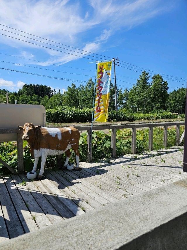ニセコの風土と情熱が育む、世界が認めた手のひらチーズ🌿🧀