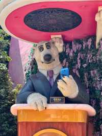 Red Lanterns & Roller Coasters: A Disney Experience Like No Other
