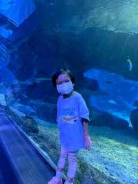 Sea Life Bangkok Ocean World จ.กรุงเทพฯ