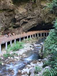 “Zhangjiajie Grand Canyon: Crystal Bridge over a Green Paradise”