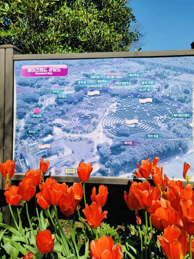 A Unique Themed Park Celebrating Jeju's Symbols