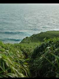 奄美大島で心ほどける島時間。青い海と緑の森に癒される旅