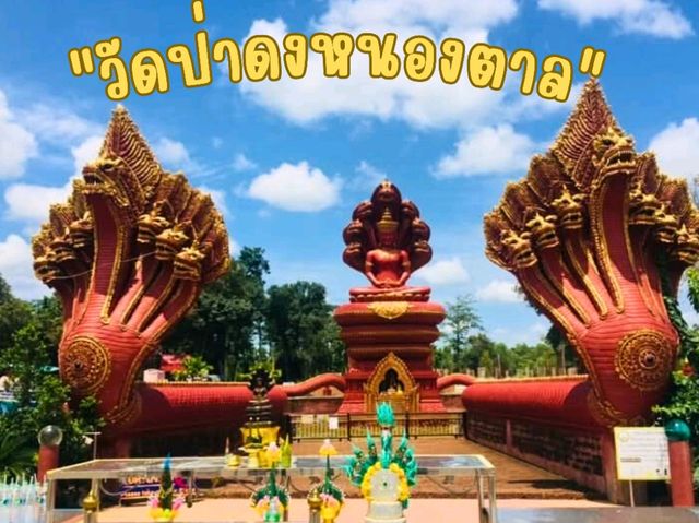 📍วัดป่าดงหนองตาล จ.อุดรธานี