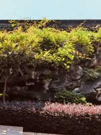 A Photographer's Dream with Picturesque Scenery