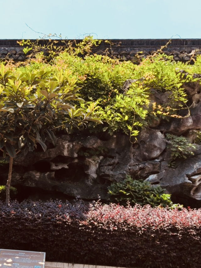 A Photographer's Dream with Picturesque Scenery