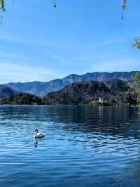 Solo Travel - Finding Solace in Lake Bled