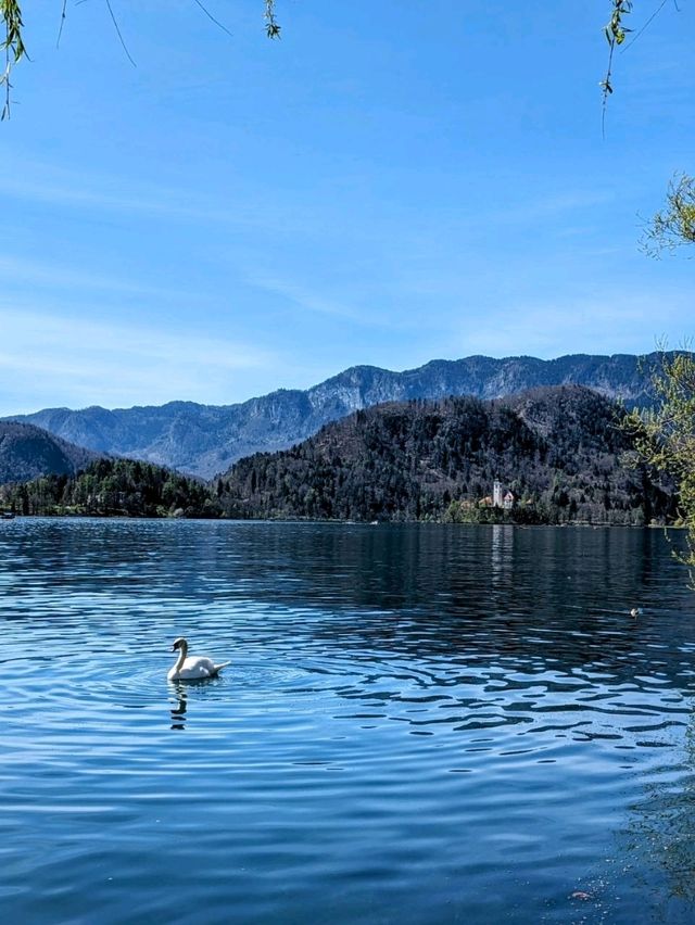 Solo Travel - Finding Solace in Lake Bled Solo Travel - Finding Solace in Lake Bled