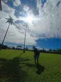 Trip Back Home 🇼🇸