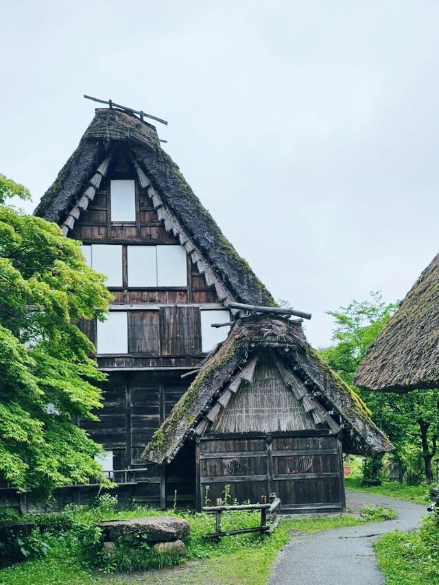 日本名古屋｜富山高山三天兩日藝術行程推薦