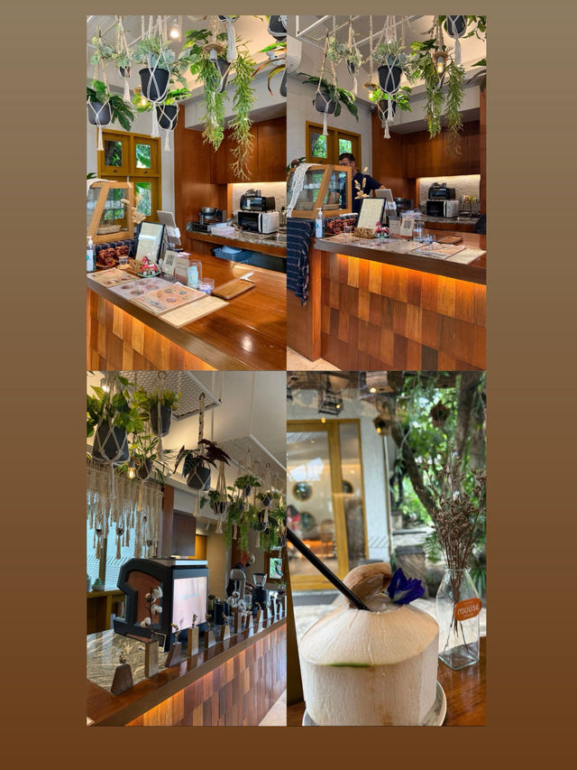 คาเฟ่เปิดใหม่ เชียงราย MUUSE CAFE&BAR CHIANGRAI