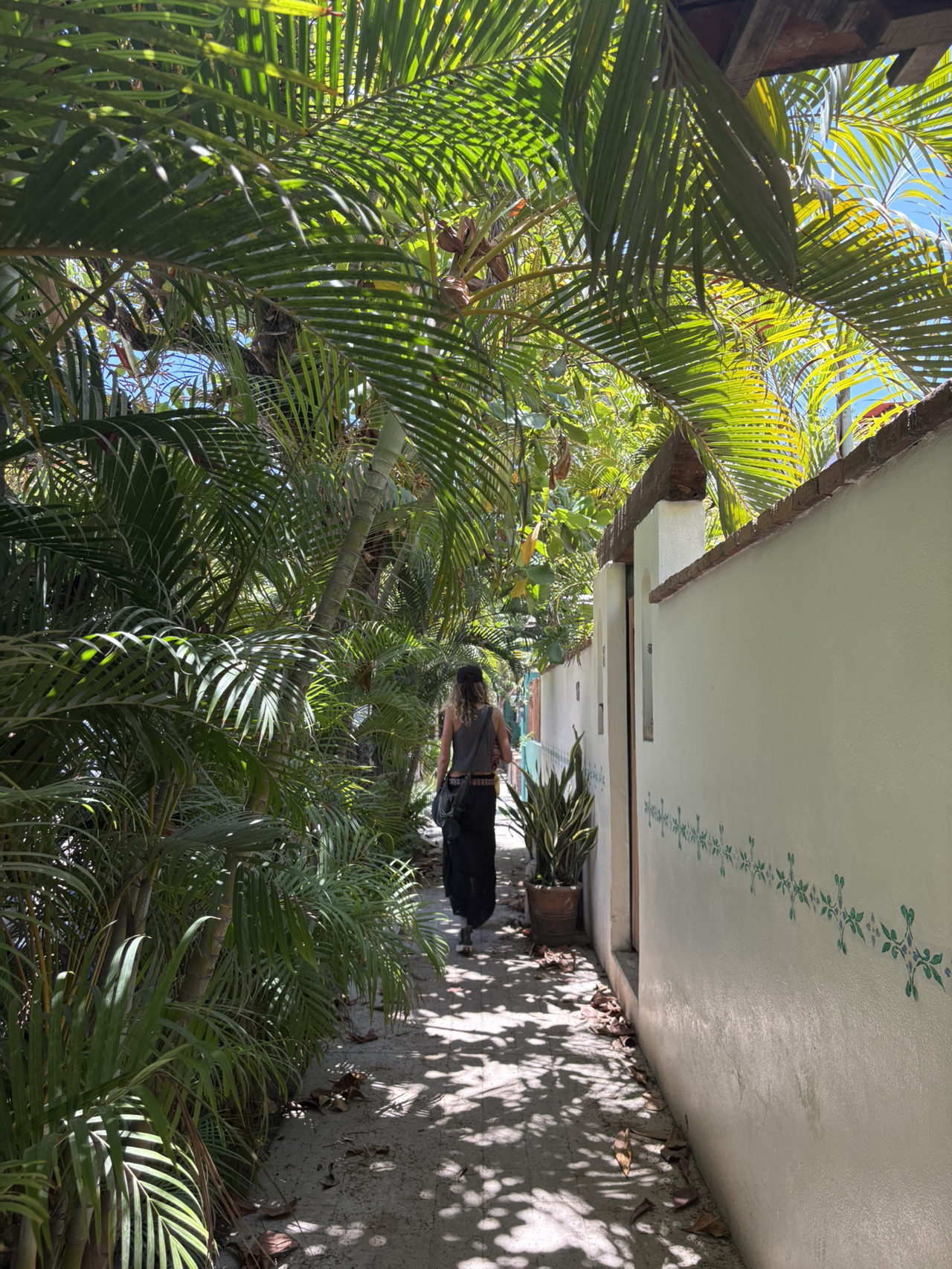 Relaxing Hideaway Beach Town: San Pancho