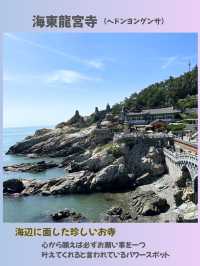【釜山】パワースポット海東龍宮寺 海に建つ珍しいお寺✨