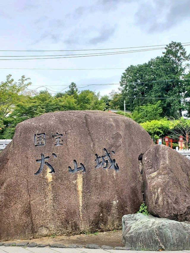 A Timeless Treasure at Inuyama Castle
