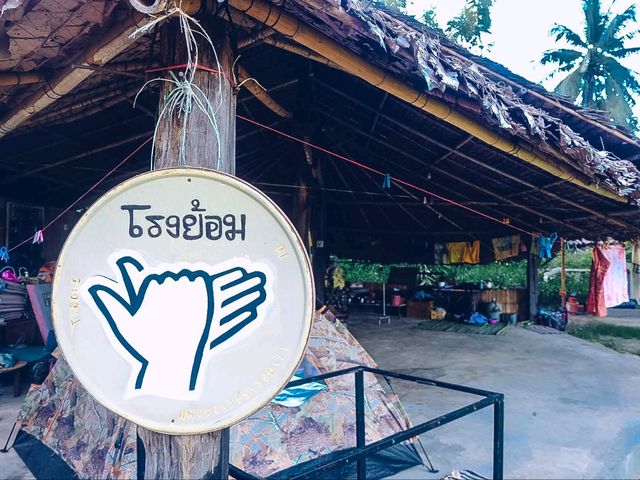 🌿🐶✨ หมาบ้าใจดีแคมป์ บ้านมุง พิษณุโลก ✨