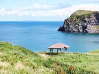 在「夢之浮島」 做了一場美麗的夢