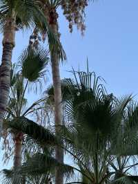 One day in Los Barilles paradise 