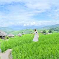 นาขั้นบันไดป่าบงเปียง
