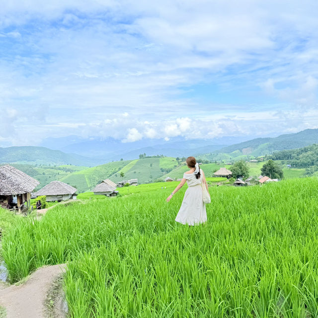 นาขั้นบันไดป่าบงเปียง