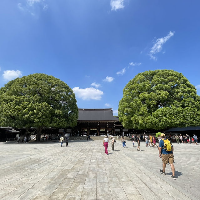 探索東京綠意：明治神宮一日遊 🌿⛩️ 
