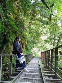 漫步雲端與湖畔:見晴古道、望龍埤周邊景點全介紹
