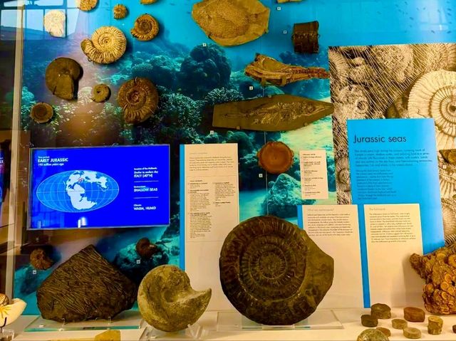 Lapworth Museum of Geology – A Journey Through Earth’s History