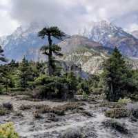 Roof of the World: My Solo Annapurna Adventure