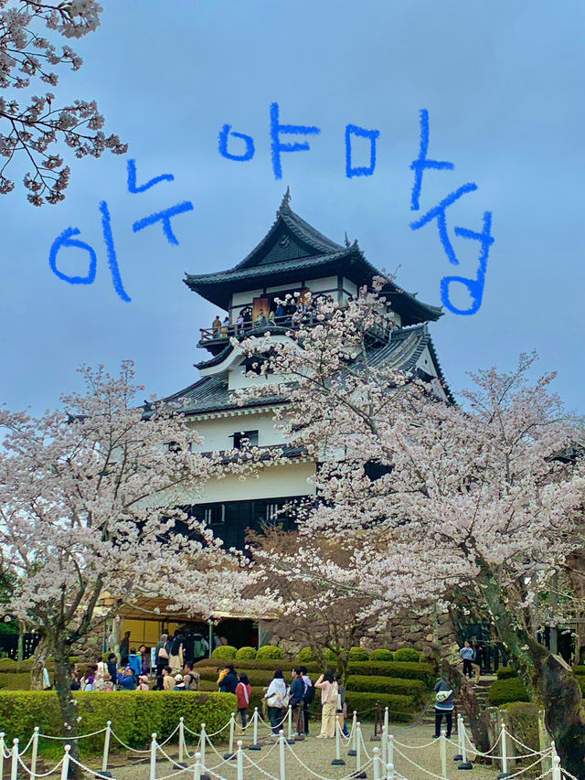 🏯 이누야마성에서 만난 일본 전통 감성 🌿
