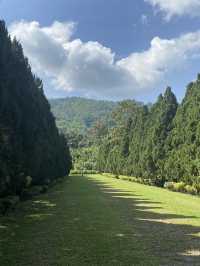 🌲☕ Cypress Lanes, Chiang Mai 🏞️✨