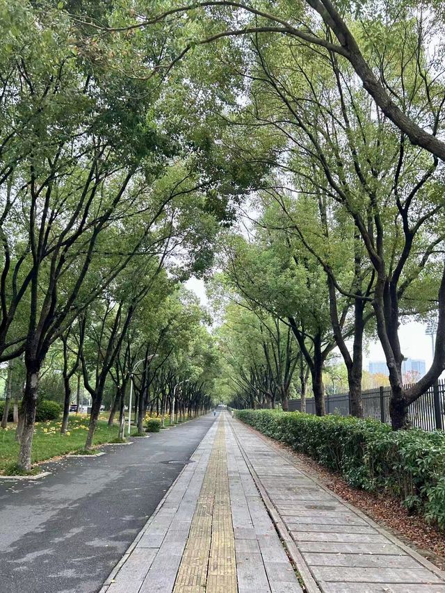 🎤 Jay Chou Fans’ Hub in Wuhan!    Concert + Check-In Guide