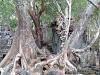 Prasat Beng Mealea