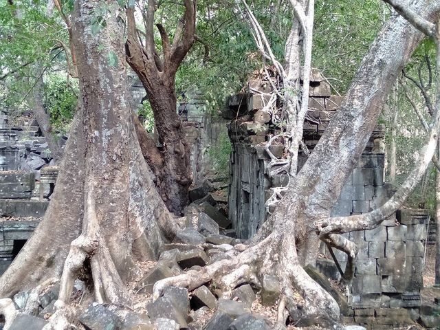 Prasat Beng Mealea