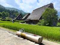 Shirakawa-Go ซัมเมอร์ เขียวๆฟ้าๆ 🇯🇵🌿✨