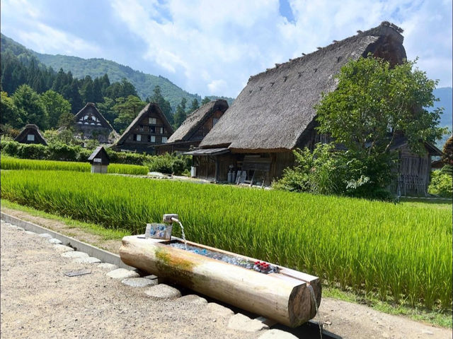Shirakawa-Go ซัมเมอร์ เขียวๆฟ้าๆ 🇯🇵🌿✨