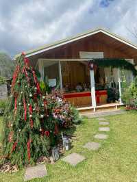 22 AQUARIUS Glamping Cafe